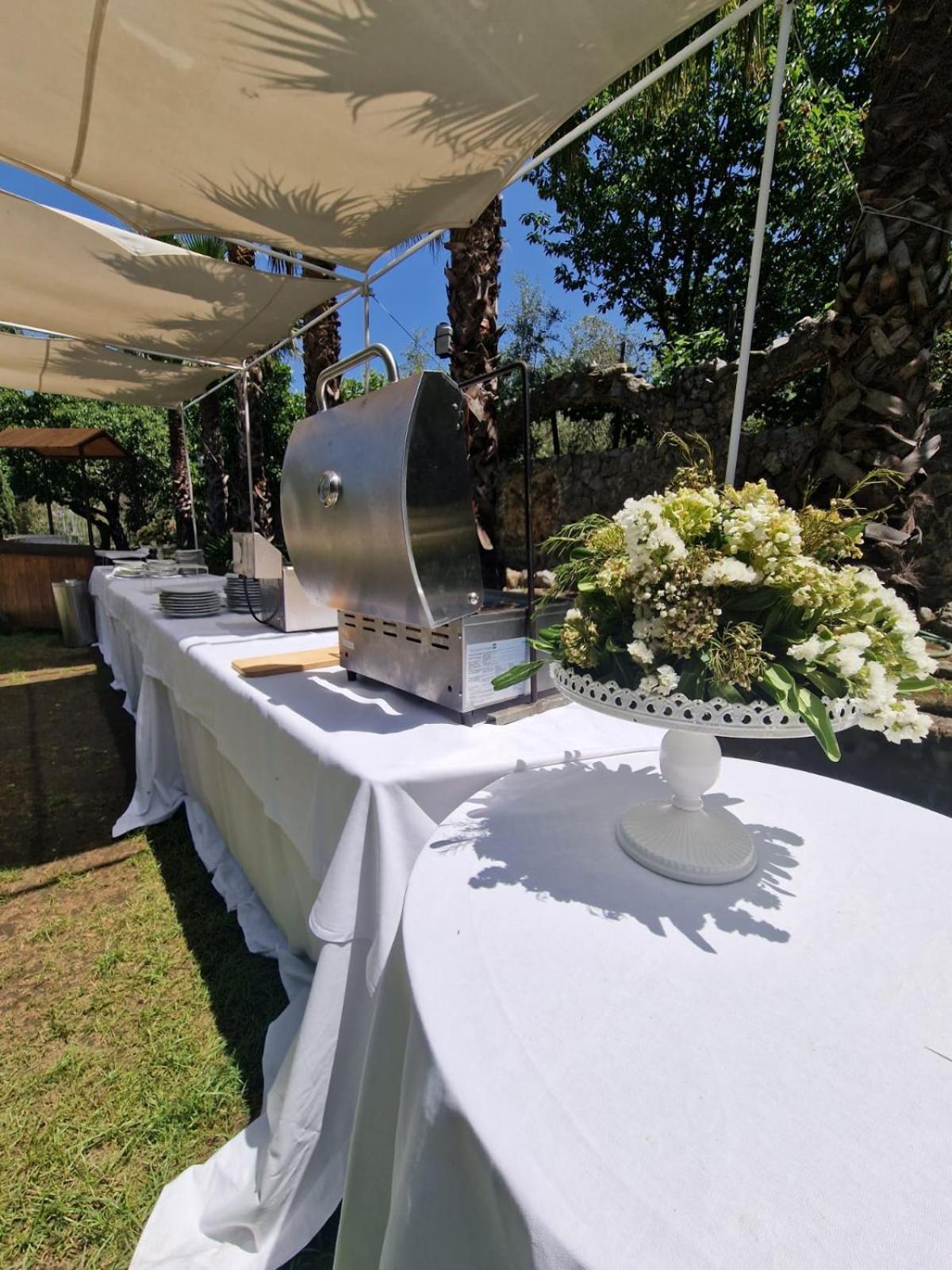 Tenuta Oliva *