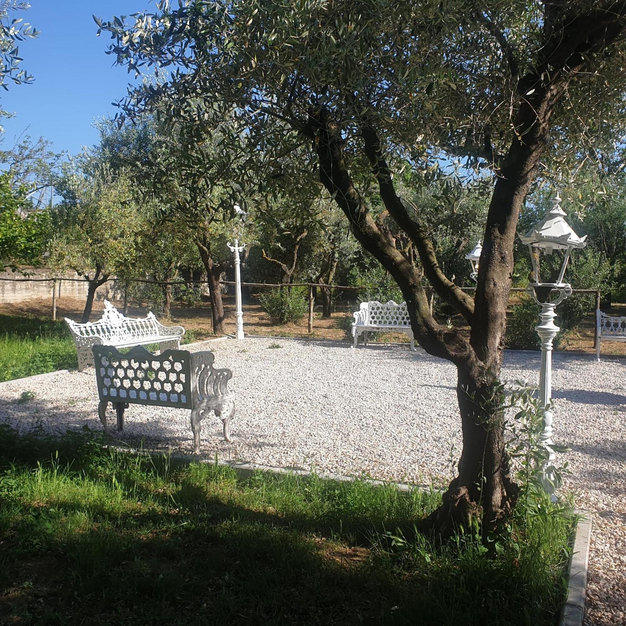 Tenuta Oliva Country house *