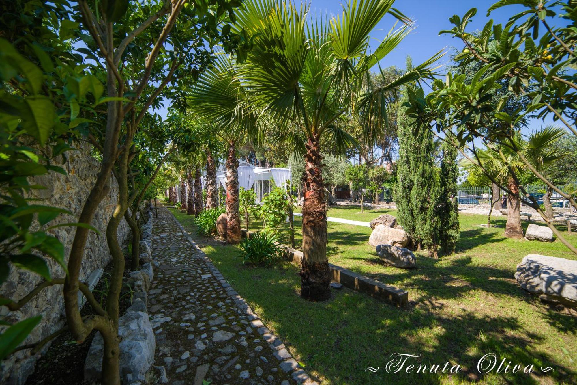 Tenuta Oliva Landhuis Fisciano