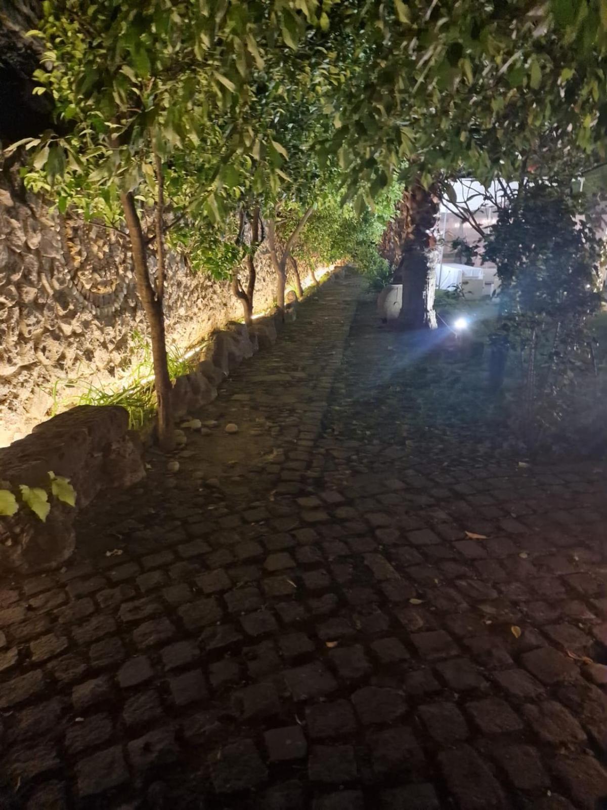 Tenuta Oliva *