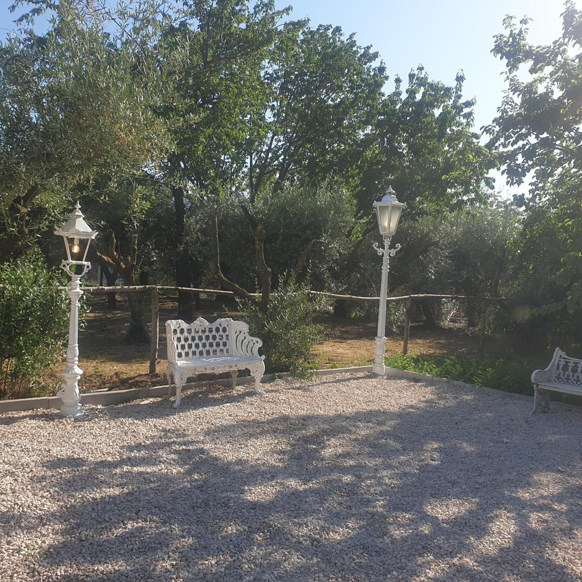Tenuta Oliva Casa rural *